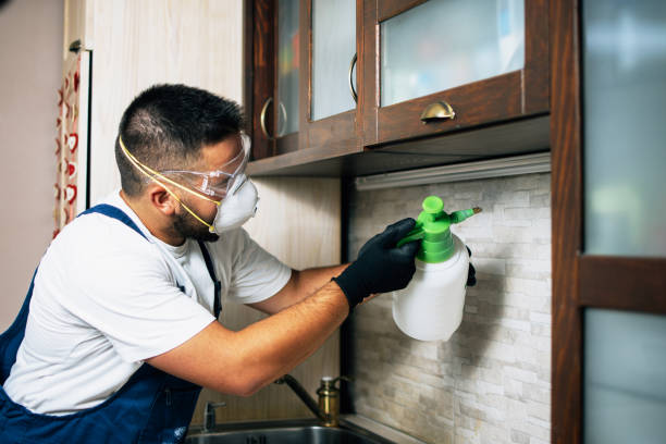 Best Pest Prevention Services  in USA